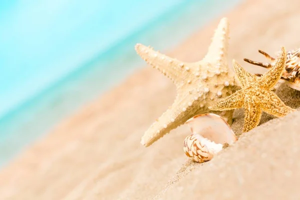 Estrelas do mar na areia — Fotografia de Stock