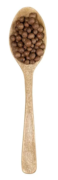 Especias marrones en cuchara de madera — Foto de Stock