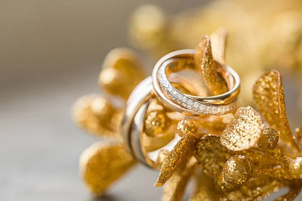 Anillos de boda dorados — Foto de Stock