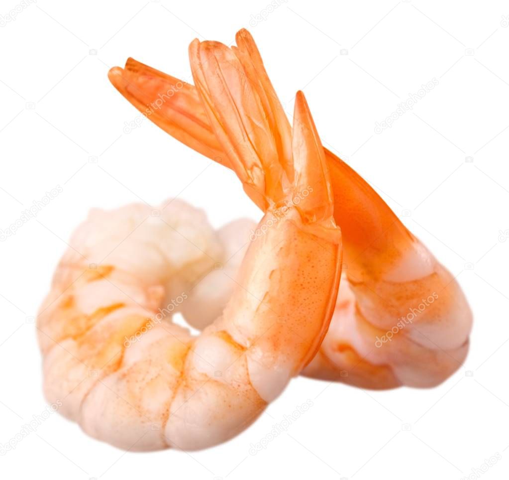 Cooked large shrimps  