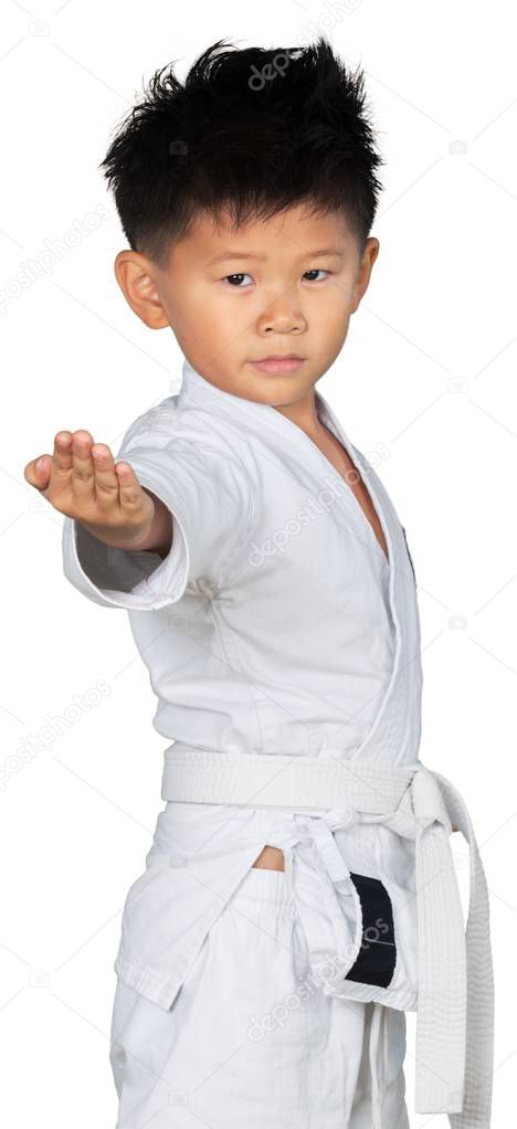 Asian Little Karate Boy