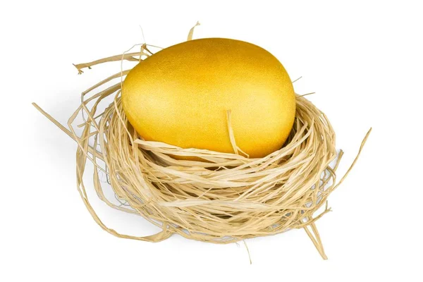 Золотое Яйцо Гнезде Изолированы Белом Фоне — стоковое фото