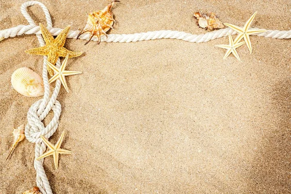 Starfish na areia da praia — Fotografia de Stock