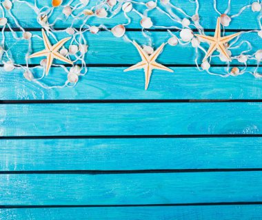 Deniz ve deniz yıldızları 