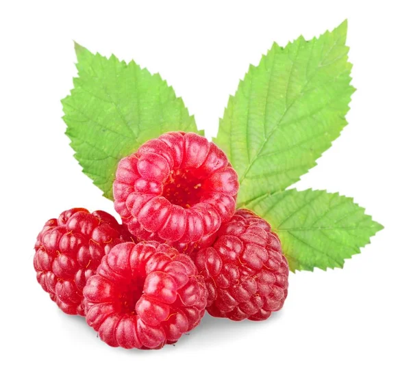 Süße Himbeeren isoliert — Stockfoto