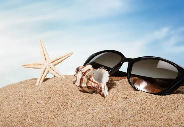 Kagyló Homok Háttér Napszemüveg Utazási Koncepció — Stock Fotó