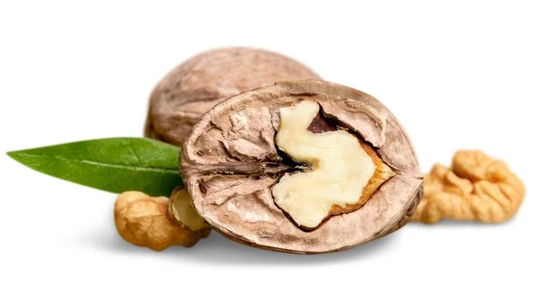 Сушеный грецкий орех — стоковое фото
