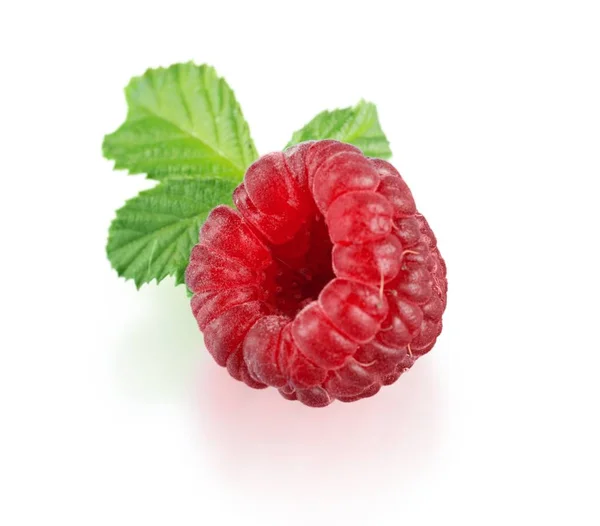 Fresh Ripe Raspberry Isolated White Background — Stock Photo, Image