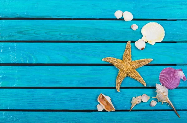 Sea shell and starfish decorations — Stock Photo, Image