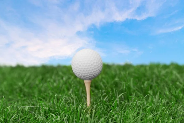 Palla da golf su T — Foto Stock