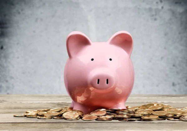 Piggy bank and coins — Stock Photo, Image