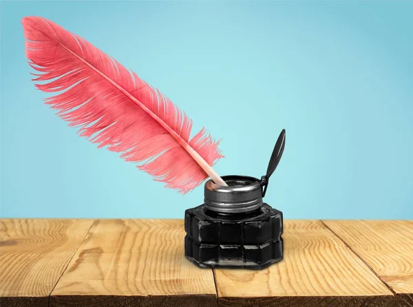 Tüy tüy kalem ve cam InkWell 