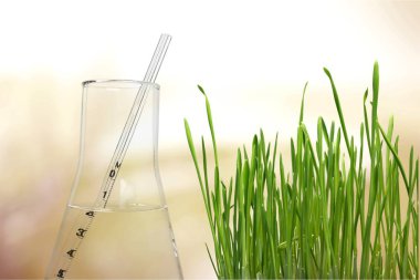 Yeşil çim ve test şişesi