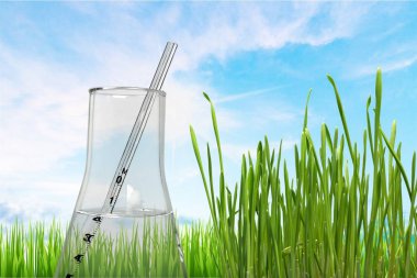 Zemin üzerine yeşil çim ve test şişesi 