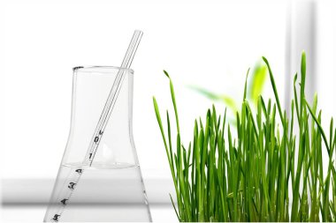 Beyaz zemin üzerine yeşil çim ve test şişesi 