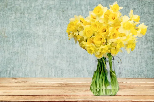 Arka Plan Üzerinde Izole Sarı Nergis Çiçekleri — Stok fotoğraf
