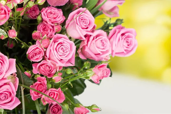 Prachtige roze rozen — Stockfoto