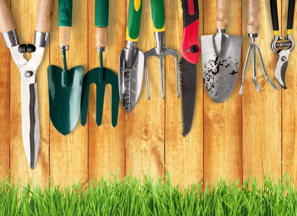 Rangée d'outils de jardinage — Photo