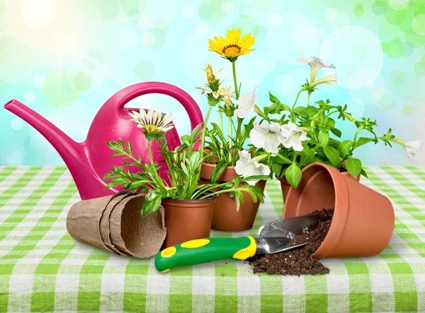 Vaso de flores e utensílios de jardinagem — Fotografia de Stock