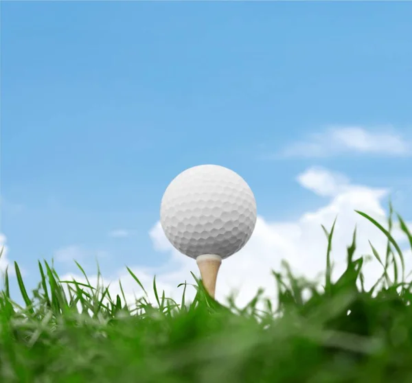 Pelota de golf en hierba — Foto de Stock