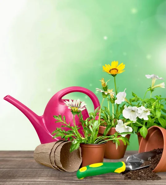 Flower Pot och Trädgårdsskötsel redskap — Stockfoto