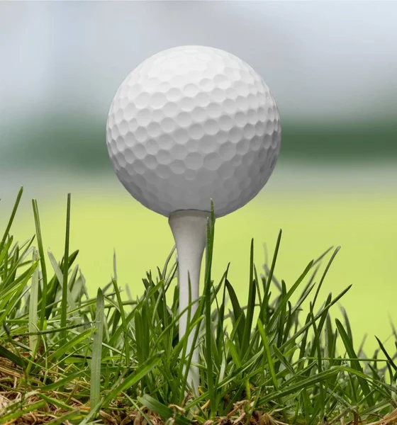 Çimlerde golf topu — Stok fotoğraf