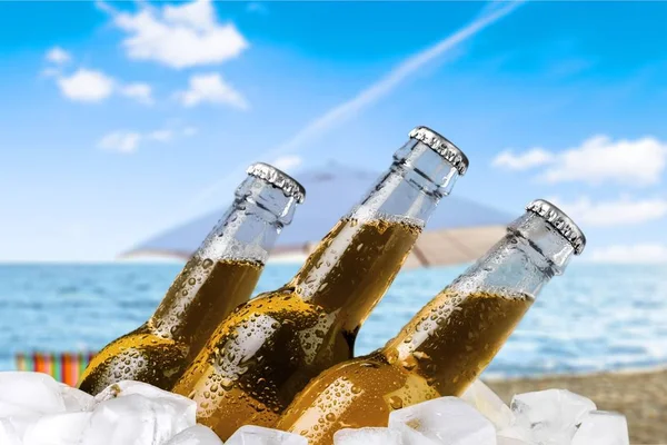 Botellas de cerveza con hielo —  Fotos de Stock