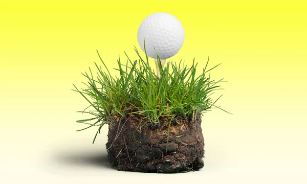 Pelota Golf Tee Hierba Verde — Foto de Stock