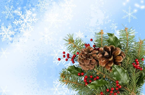 Vánoční přání s větve stromů jedle — Stock fotografie