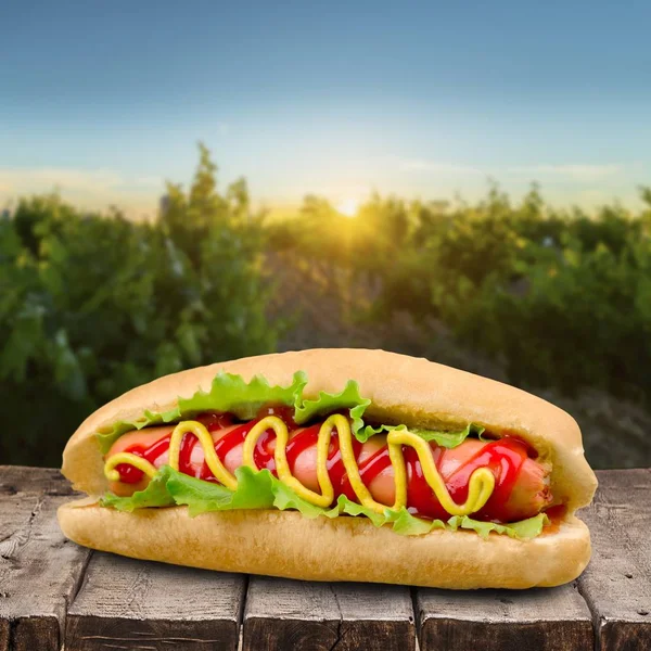 Cachorro-quente com mostarda e ketchup — Fotografia de Stock