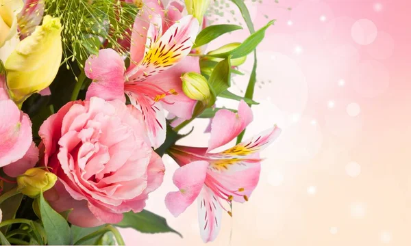 Beautiful flowers on  background — Stock Photo, Image
