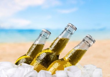 Buzlu bira şişeleri.