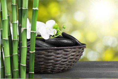 Zen taşlar ve bambu