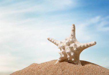 Plaj kum üzerinde arka izole bir deniz yıldızı 