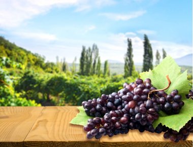Dark grapes on wooden  clipart