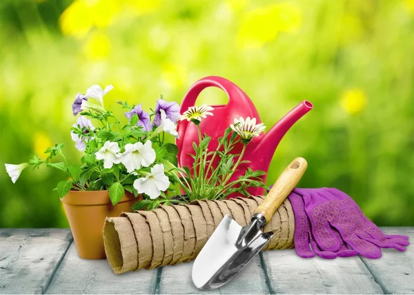 Flower Pot and gardening utensils — Stock Photo, Image