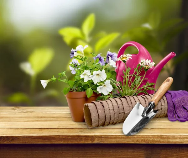 Flower Pot and gardening utensils — Stock Photo, Image