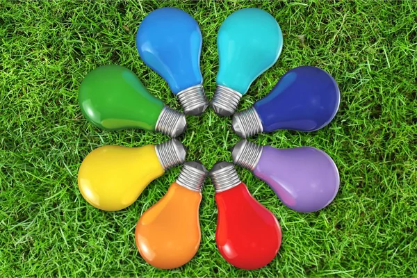 Bulbos Coloridos Grama Verde — Fotografia de Stock