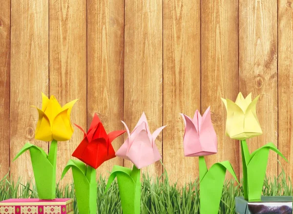 Origami blommor på bakgrund — Stockfoto