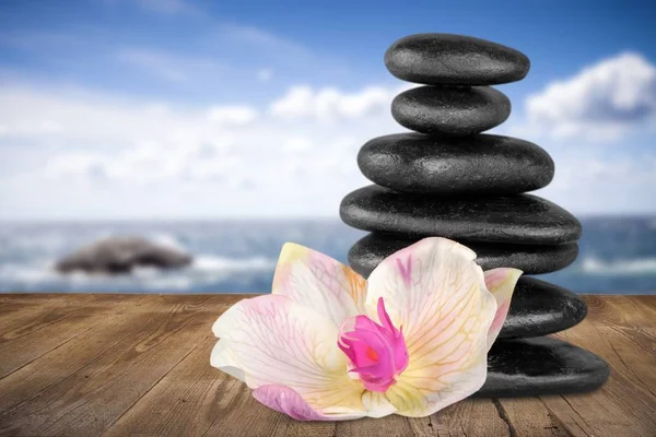 Zen Basaltstenen en bloem — Stockfoto