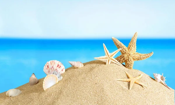 Sea stars on sand — Stock Photo, Image