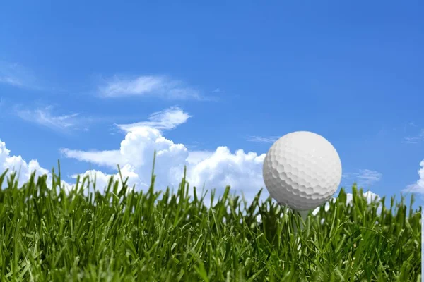 高尔夫球在球棒上在绿色草地上的三通 — 图库照片
