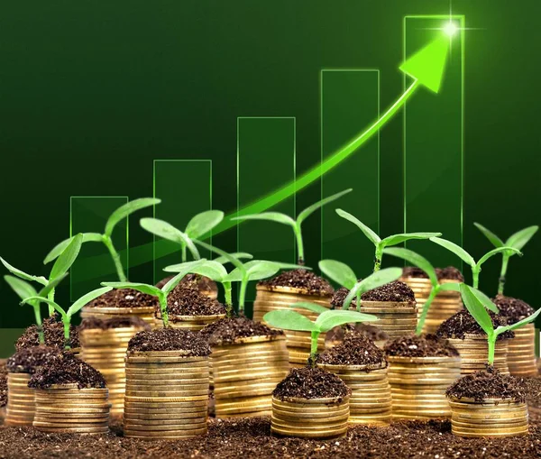 Coins in soil with young plants — Stock Photo, Image