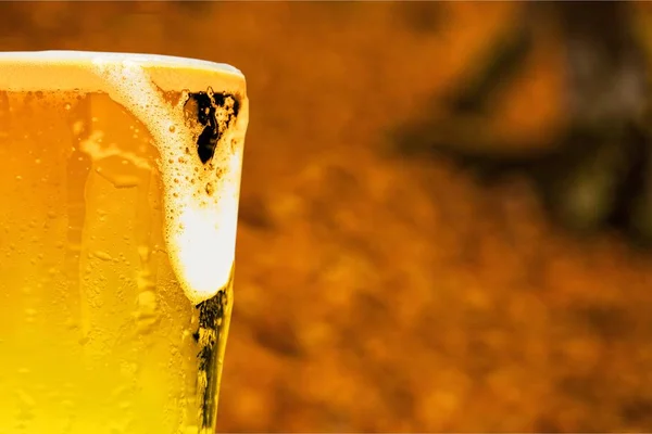 Taza de cerveza fría —  Fotos de Stock