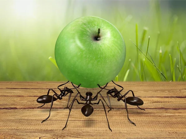 Hormigas Llevando Manzana Verde — Foto de Stock