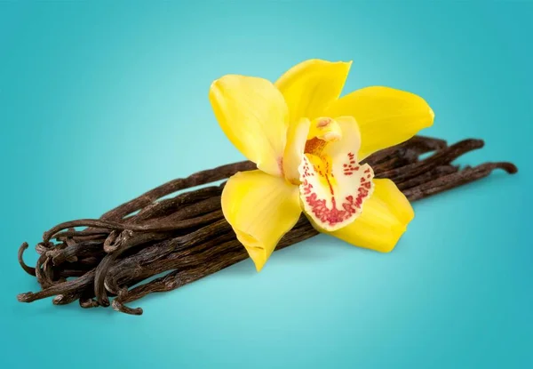 Chicchi di vaniglia con fiore — Foto Stock