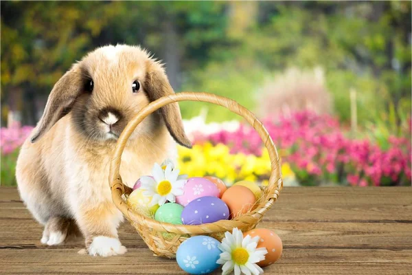 close-up of rabbit with flowers on wooden background