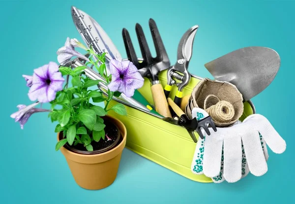 Vaso di fiori e utensili da giardinaggio — Foto Stock