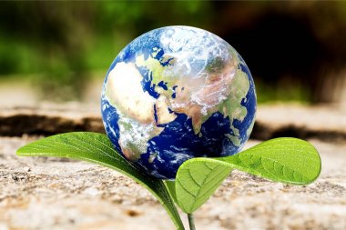 çim zemin üzerine ışık ışınları Cam Küre top