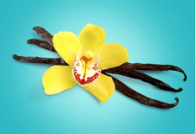 Açık renkli çiçek ile vanilya fasulye 